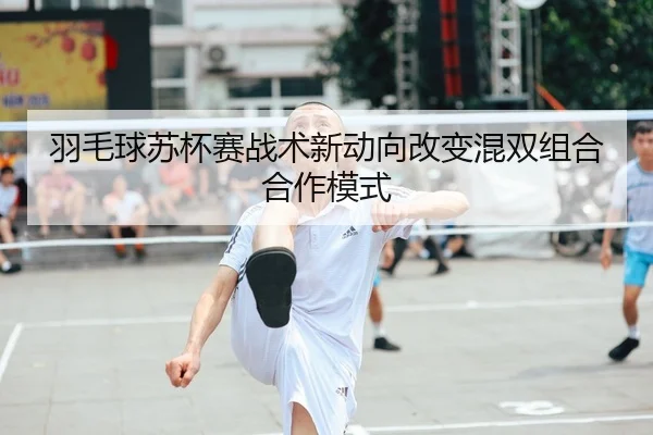 羽毛球苏杯赛战术新动向改变混双组合合作模式